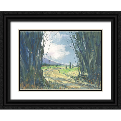 Distant Valley Black Ornate Wood Framed Art Print with Double Matting by Randy Noble Fine Art