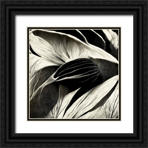 B002 Flowers Black White Black Ornate Wood Framed Art Print with Double Matting by Heere, Ray