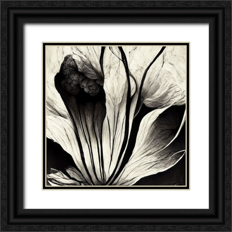 B003 Flowers Black White Black Ornate Wood Framed Art Print with Double Matting by Heere, Ray