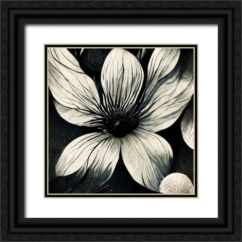 B005 Flowers Black White Black Ornate Wood Framed Art Print with Double Matting by Heere, Ray
