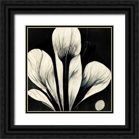 B013 Flowers Black White Black Ornate Wood Framed Art Print with Double Matting by Heere, Ray