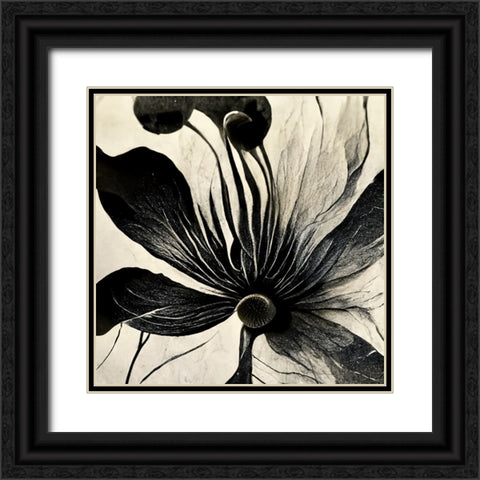 B014 Flowers Black White Black Ornate Wood Framed Art Print with Double Matting by Heere, Ray