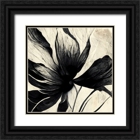 B016 Flowers Black White Black Ornate Wood Framed Art Print with Double Matting by Heere, Ray