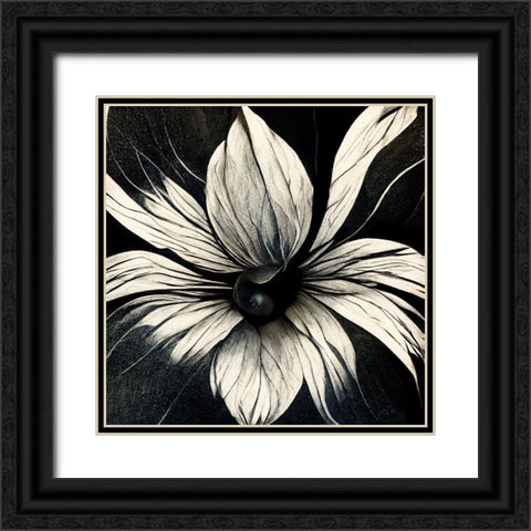 B019 Flowers Black White Black Ornate Wood Framed Art Print with Double Matting by Heere, Ray