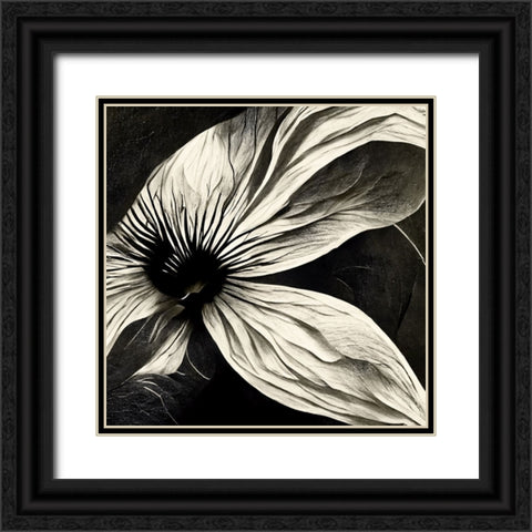 B022 Flowers Black White Black Ornate Wood Framed Art Print with Double Matting by Heere, Ray