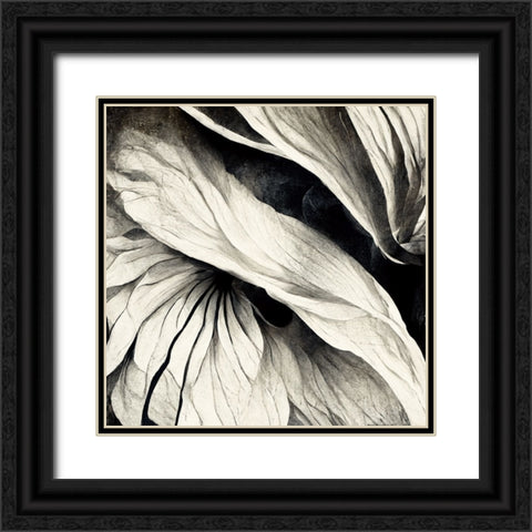 B024 Flowers Black White Black Ornate Wood Framed Art Print with Double Matting by Heere, Ray