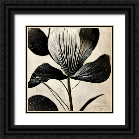 B026 Flowers Black White Black Ornate Wood Framed Art Print with Double Matting by Heere, Ray