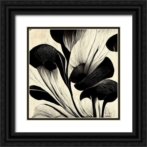 B027 Flowers Black White Black Ornate Wood Framed Art Print with Double Matting by Heere, Ray