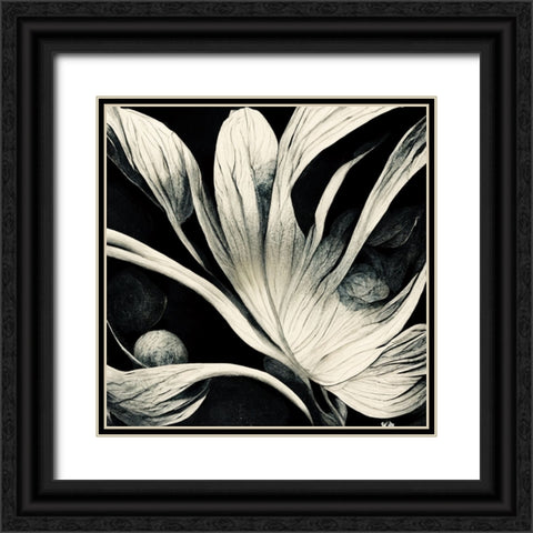 B029 Flowers Black White Black Ornate Wood Framed Art Print with Double Matting by Heere, Ray