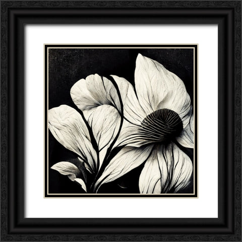 B030 Flowers Black White Black Ornate Wood Framed Art Print with Double Matting by Heere, Ray