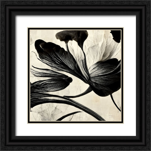 B033 Flowers Black White Black Ornate Wood Framed Art Print with Double Matting by Heere, Ray