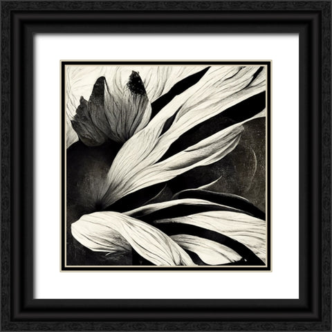 B035 Flowers Black White Black Ornate Wood Framed Art Print with Double Matting by Heere, Ray