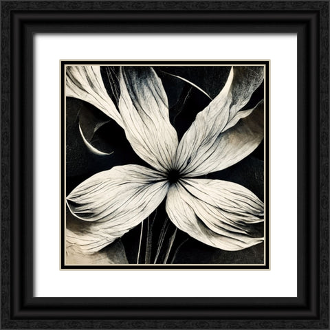 B036 Flowers Black White Black Ornate Wood Framed Art Print with Double Matting by Heere, Ray