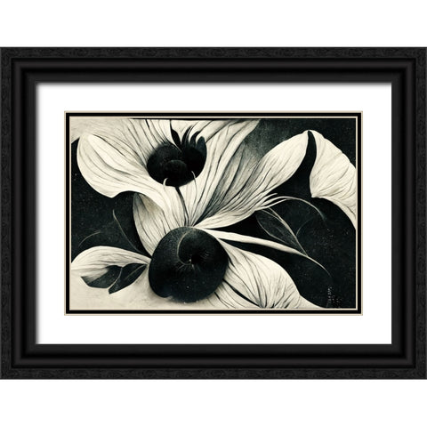 B042 Flowers Black White Black Ornate Wood Framed Art Print with Double Matting by Heere, Ray