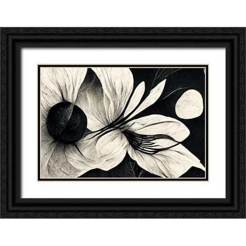 B043 Flowers Black White Black Ornate Wood Framed Art Print with Double Matting by Heere, Ray