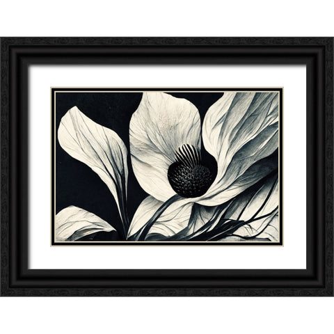 B045 Flowers Black White Black Ornate Wood Framed Art Print with Double Matting by Heere, Ray