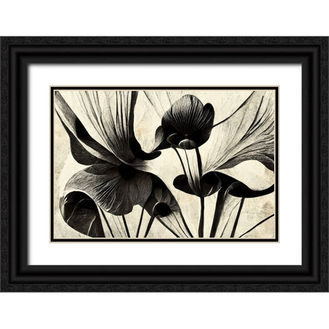 B048 Flowers Black White Black Ornate Wood Framed Art Print with Double Matting by Heere, Ray