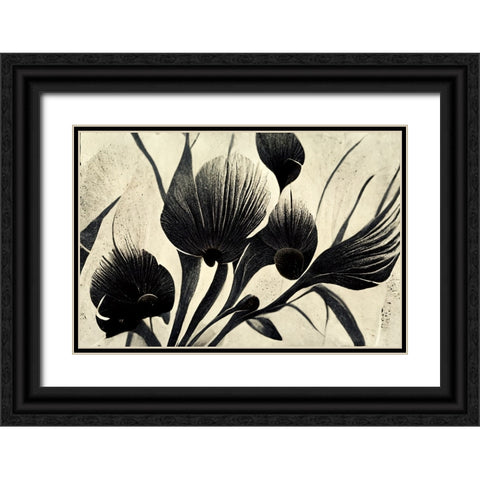 B054 Flowers Black White Black Ornate Wood Framed Art Print with Double Matting by Heere, Ray