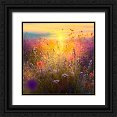 H001 Flowering Fields Black Ornate Wood Framed Art Print with Double Matting by Heere, Ray