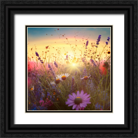 H007 Flowering Fields Black Ornate Wood Framed Art Print with Double Matting by Heere, Ray
