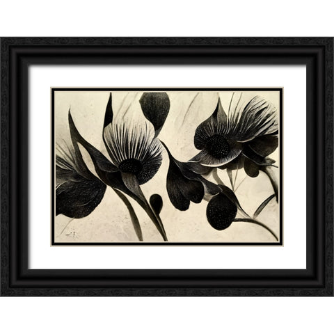 B069 Flowers Black White Black Ornate Wood Framed Art Print with Double Matting by Heere, Ray