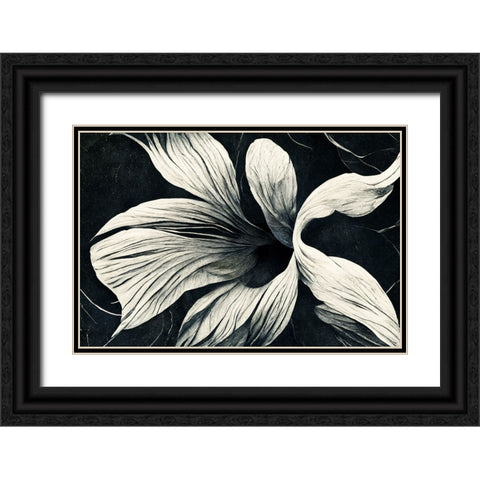 B070 Flowers Black White Black Ornate Wood Framed Art Print with Double Matting by Heere, Ray