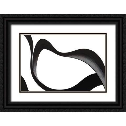 Black White Bold Strokes 3 Black Ornate Wood Framed Art Print with Double Matting by Heere, Ray