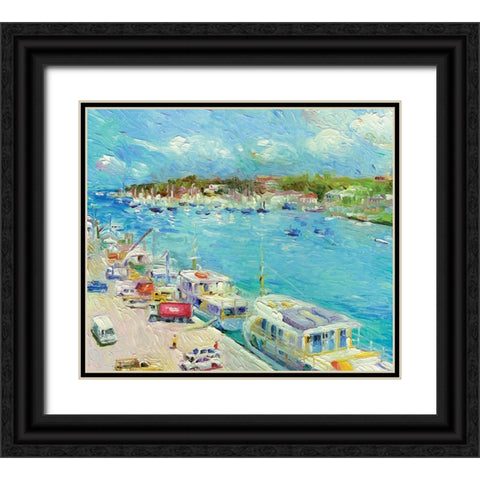 Bahamas Black Ornate Wood Framed Art Print with Double Matting by Wallich, Richard
