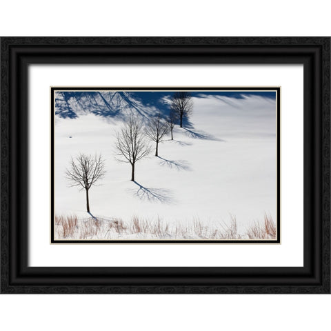Winter Field Silhouettes Black Ornate Wood Framed Art Print with Double Matting by Goldwitz, Robert