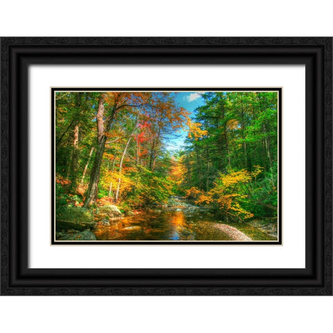 Autumn Brook Black Ornate Wood Framed Art Print with Double Matting by Goldwitz, Robert