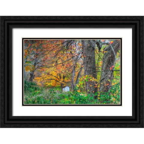 Autumn Shed Black Ornate Wood Framed Art Print with Double Matting by Goldwitz, Robert