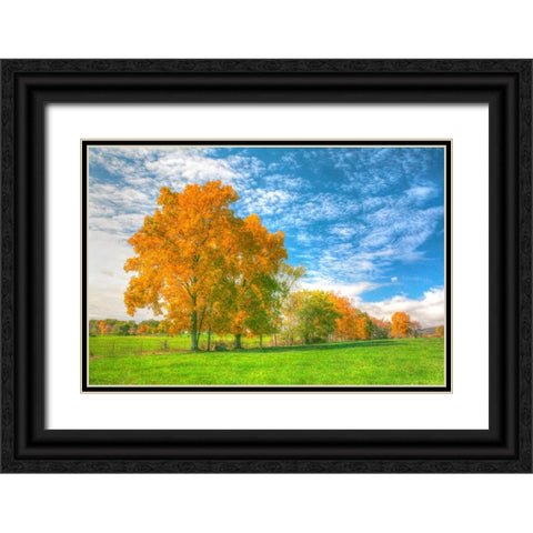 Autumn Tree Line Black Ornate Wood Framed Art Print with Double Matting by Goldwitz, Robert