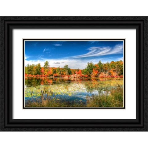 Harriman Pond Black Ornate Wood Framed Art Print with Double Matting by Goldwitz, Robert