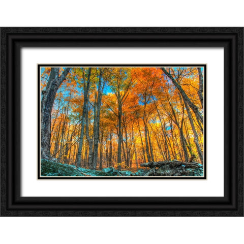 Winding Hills Park Black Ornate Wood Framed Art Print with Double Matting by Goldwitz, Robert