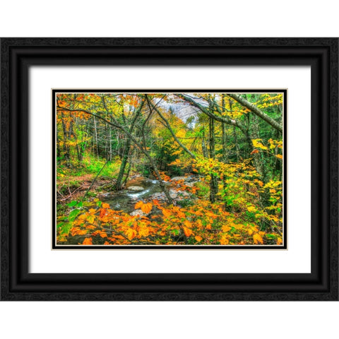 Fall Brook Orange Fo Black Ornate Wood Framed Art Print with Double Matting by Goldwitz, Robert