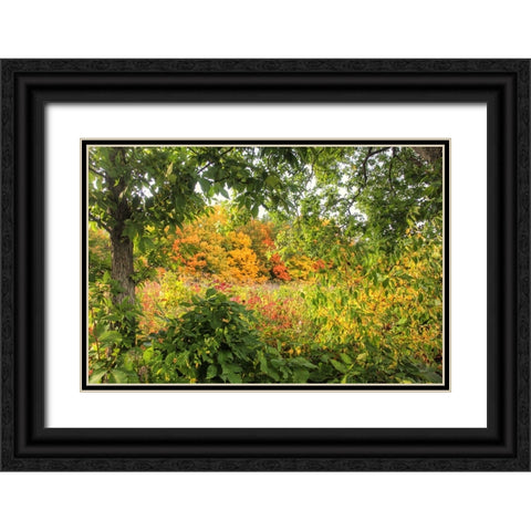Autumn Colors Black Ornate Wood Framed Art Print with Double Matting by Goldwitz, Robert