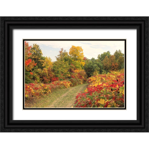 Brilliant Hillside Black Ornate Wood Framed Art Print with Double Matting by Goldwitz, Robert