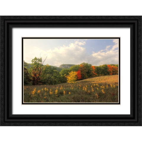 Mohonk Autumn Black Ornate Wood Framed Art Print with Double Matting by Goldwitz, Robert