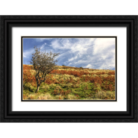 Wales Hillside and Sky Black Ornate Wood Framed Art Print with Double Matting by Goldwitz, Robert