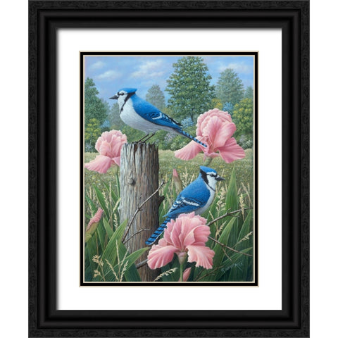Blue Jays Black Ornate Wood Framed Art Print with Double Matting by Wavra, Robert