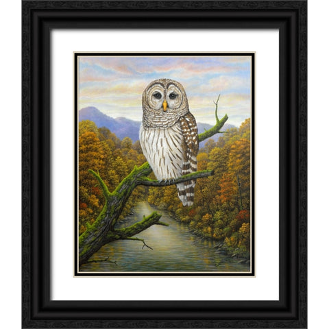 Barred Owl Black Ornate Wood Framed Art Print with Double Matting by Wavra, Robert