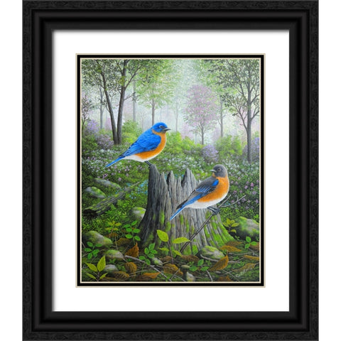 Spring Bluebirds Black Ornate Wood Framed Art Print with Double Matting by Wavra, Robert