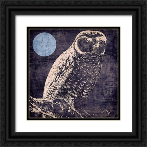 Owl 1 Black Ornate Wood Framed Art Print with Double Matting by Sasha