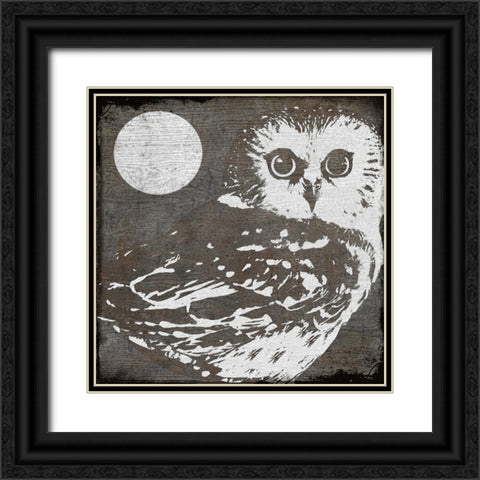 Owl 3 Black Ornate Wood Framed Art Print with Double Matting by Sasha