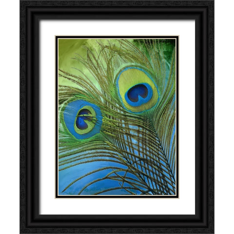 Peacock Candy I Black Ornate Wood Framed Art Print with Double Matting by Sasha