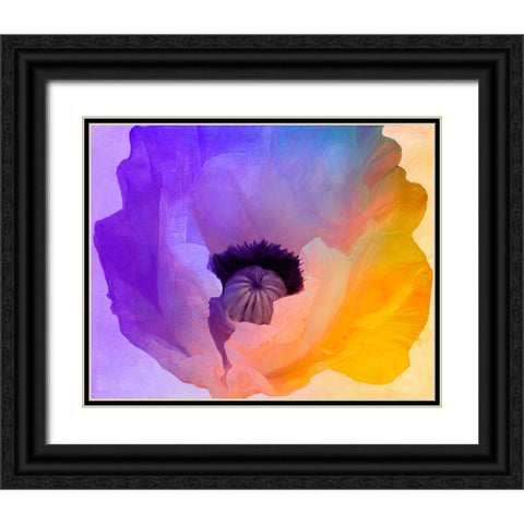 Poppy Gradient III Black Ornate Wood Framed Art Print with Double Matting by Sasha