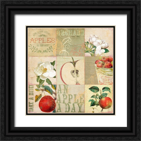 Apple Blossoms III Black Ornate Wood Framed Art Print with Double Matting by Sasha