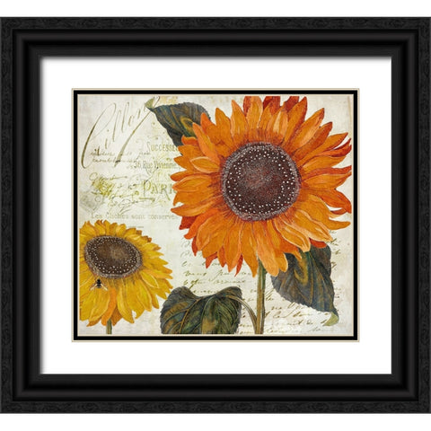 Sundresses II Black Ornate Wood Framed Art Print with Double Matting by Sasha