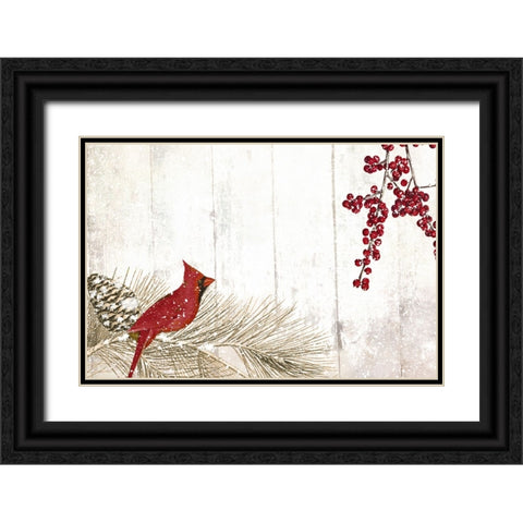 Cardinal Christmas V Black Ornate Wood Framed Art Print with Double Matting by Sasha