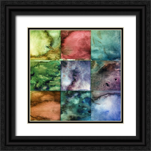 Sea Patches II Black Ornate Wood Framed Art Print with Double Matting by Sasha